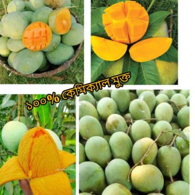 40 কেজি গোবিন্দভোগ আম